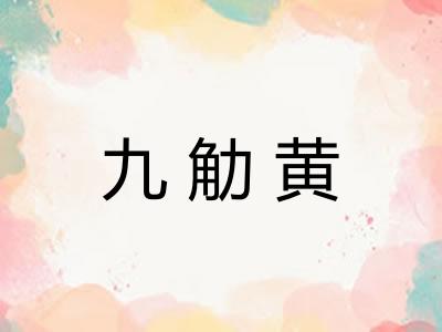 九觔黄