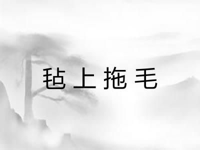 毡上拖毛