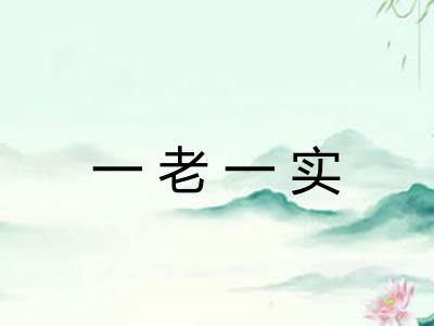 一老一实