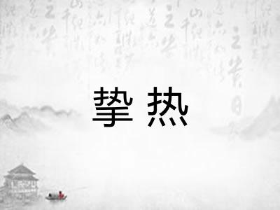 挚热