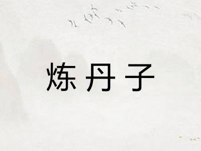 炼丹子