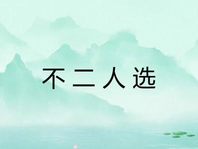 不二人选