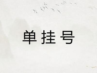 单挂号