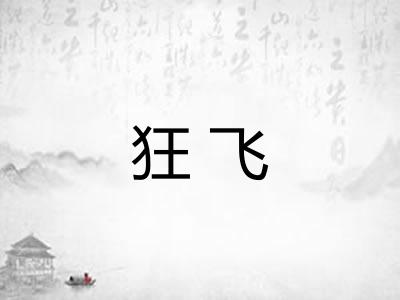 狂飞