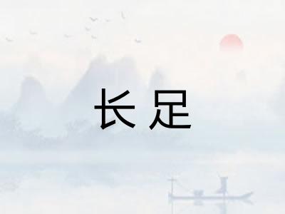 长足
