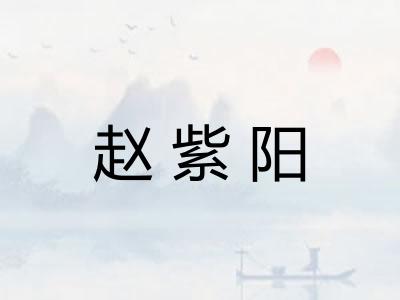 赵紫阳