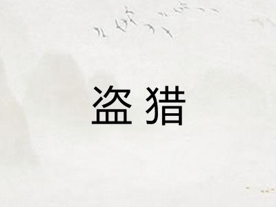 盗猎