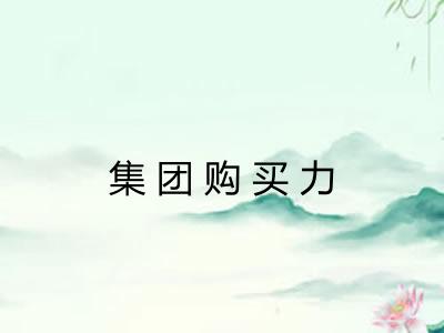 集团购买力
