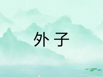 外子