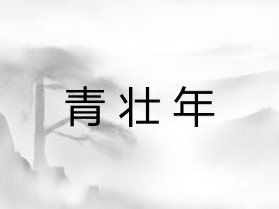 青壮年