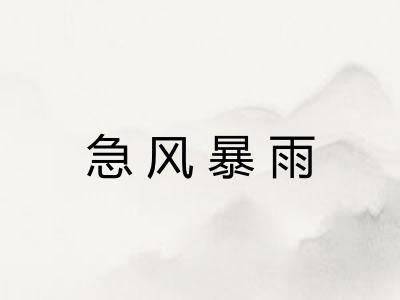 急风暴雨
