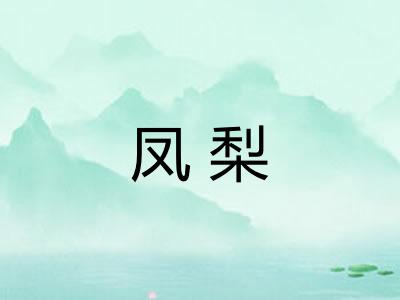凤梨