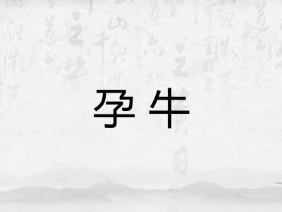 孕牛