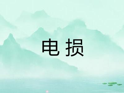 电损