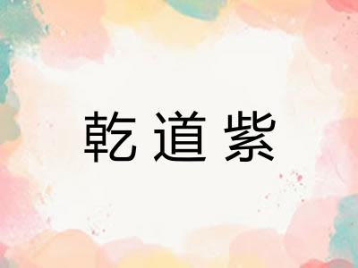 乾道紫