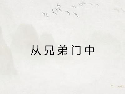 从兄弟门中