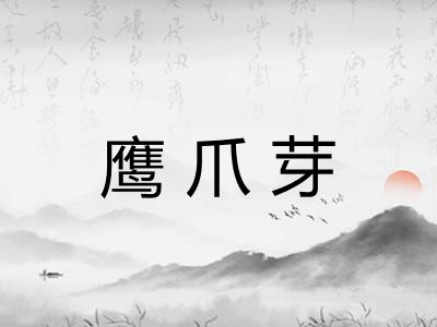 鹰爪芽