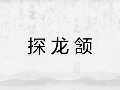 探龙颔