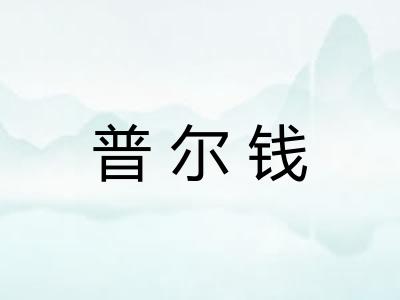 普尔钱