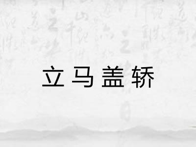 立马盖轿