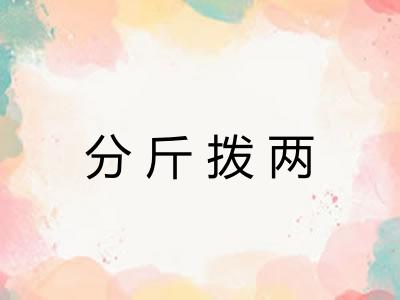 分斤拨两
