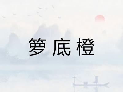 箩底橙