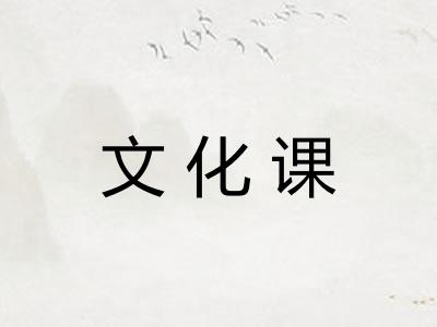 文化课