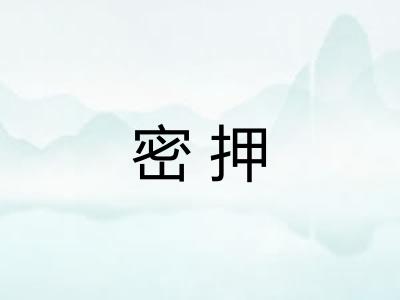 密押