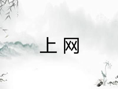 上网