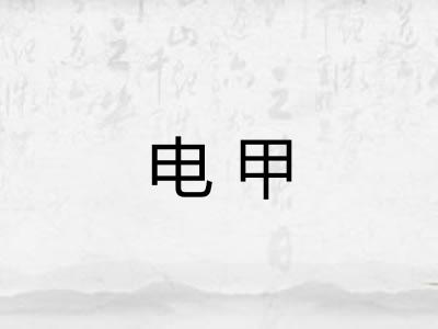 电甲