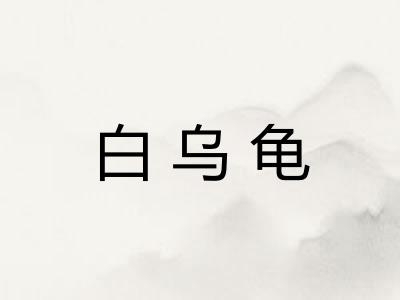 白乌龟