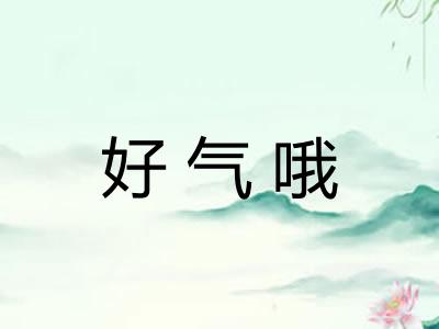 好气哦