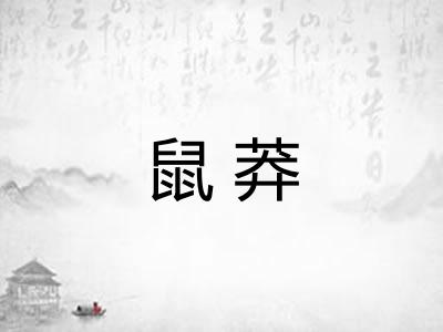 鼠莽