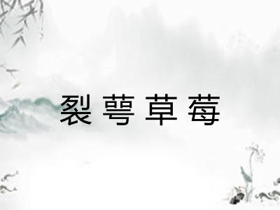 裂萼草莓