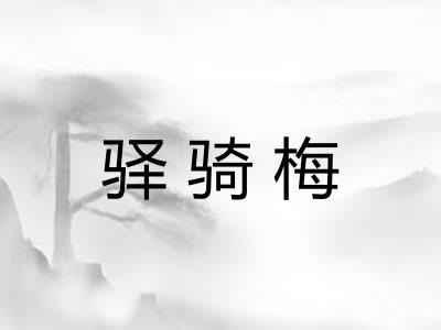 驿骑梅