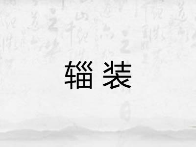 辎装