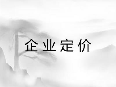 企业定价
