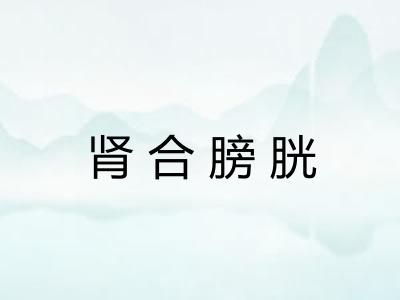 肾合膀胱