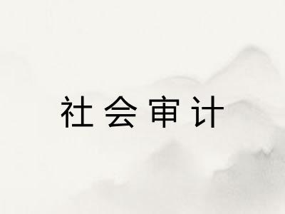 社会审计