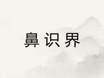 鼻识界