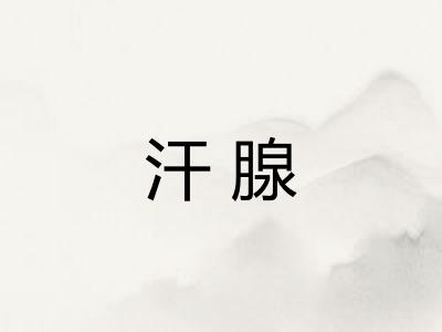 汗腺