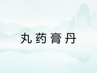 丸药膏丹
