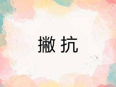撇抗