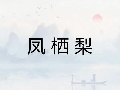 凤栖梨