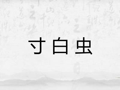 寸白虫