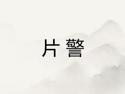 片警