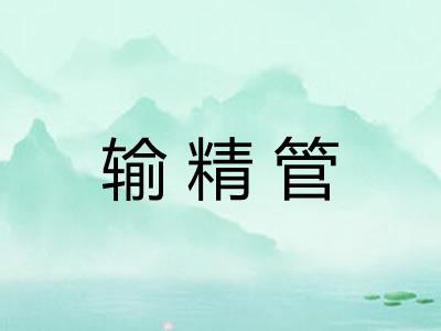 输精管