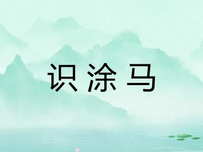 识涂马
