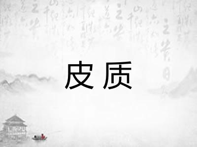 皮质