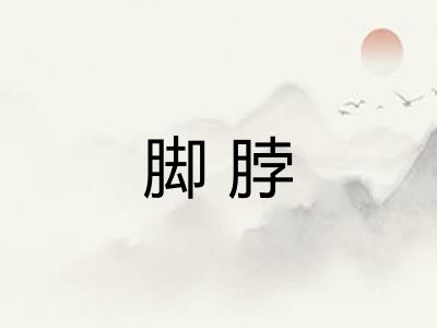 脚脖